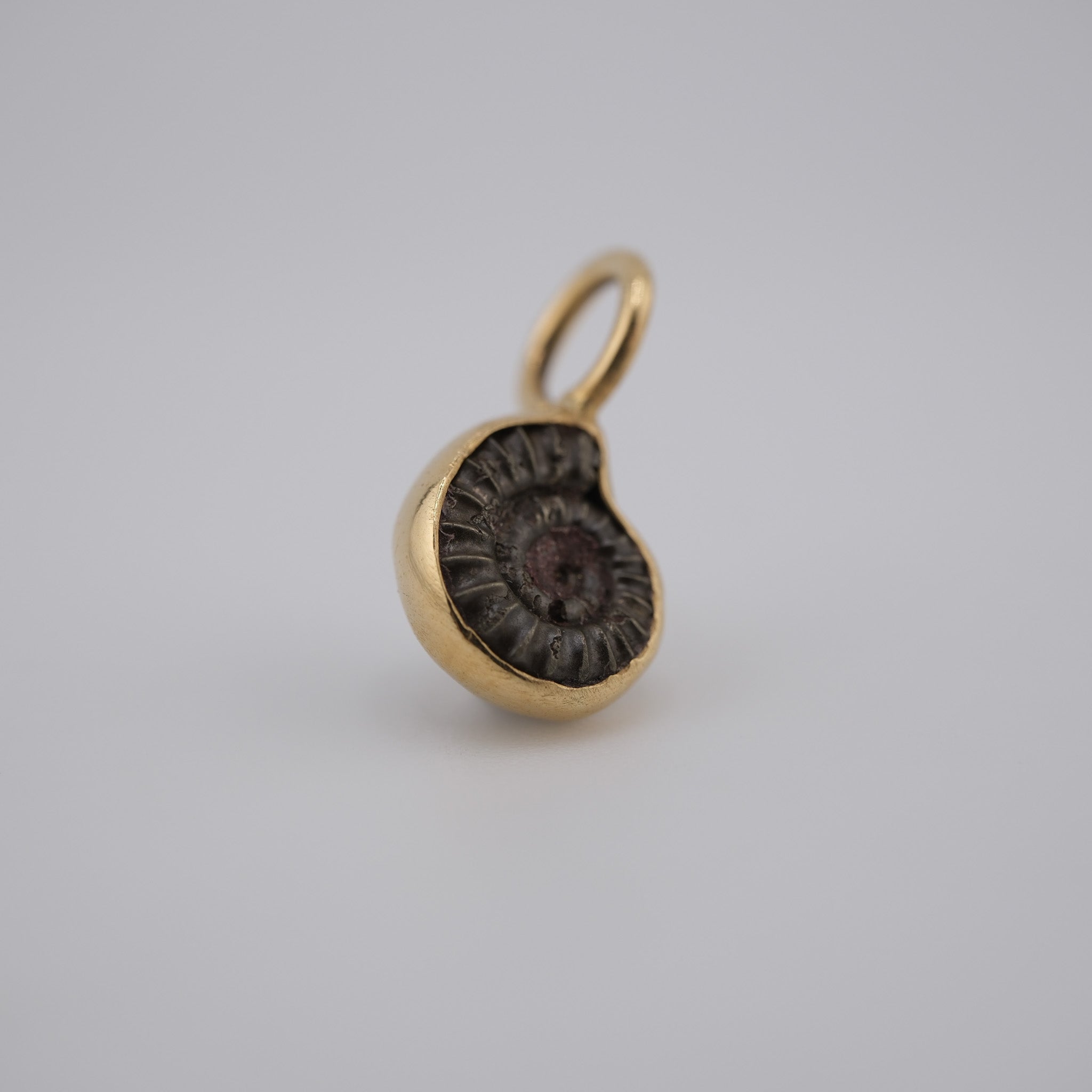 Jurassic Ammonite – 195 Million-Year-Old Fossil Pendant in 18k Gold (#2)