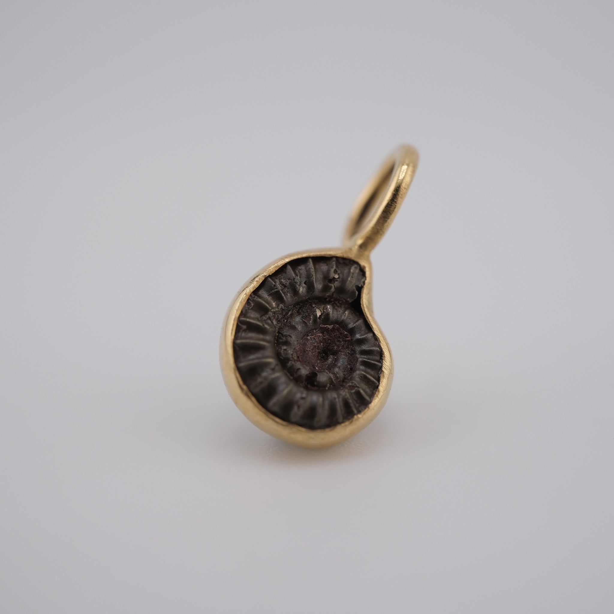 Jurassic Ammonite – 195 Million-Year-Old Fossil Pendant in 18k Gold (#2)