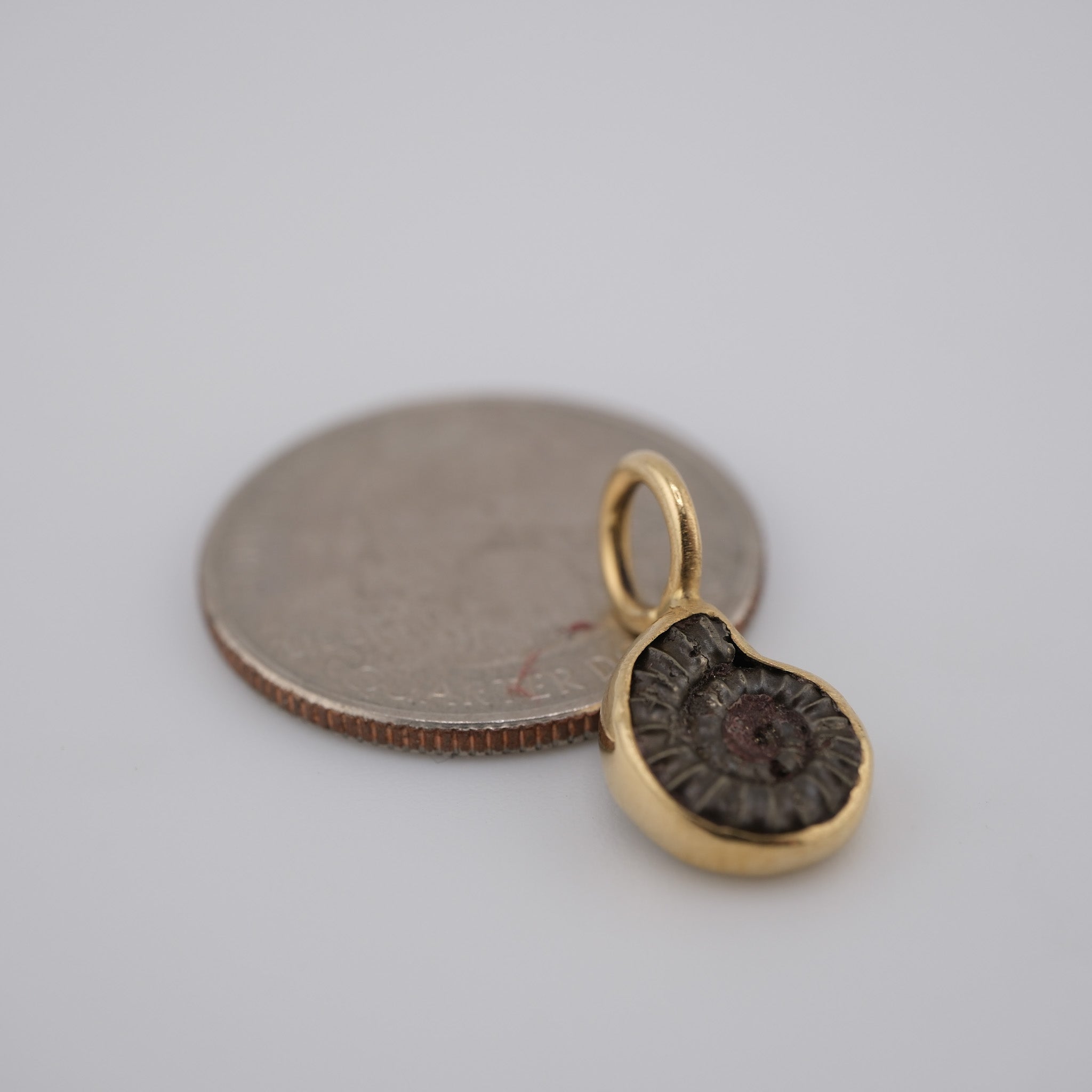 Jurassic Ammonite – 195 Million-Year-Old Fossil Pendant in 18k Gold (#2)
