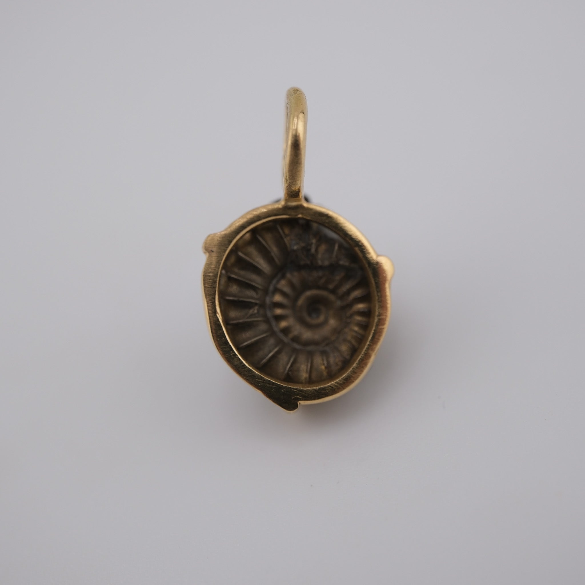 Jurassic Ammonite – 195 Million-Year-Old Fossil Pendant in 18k Gold (#1)