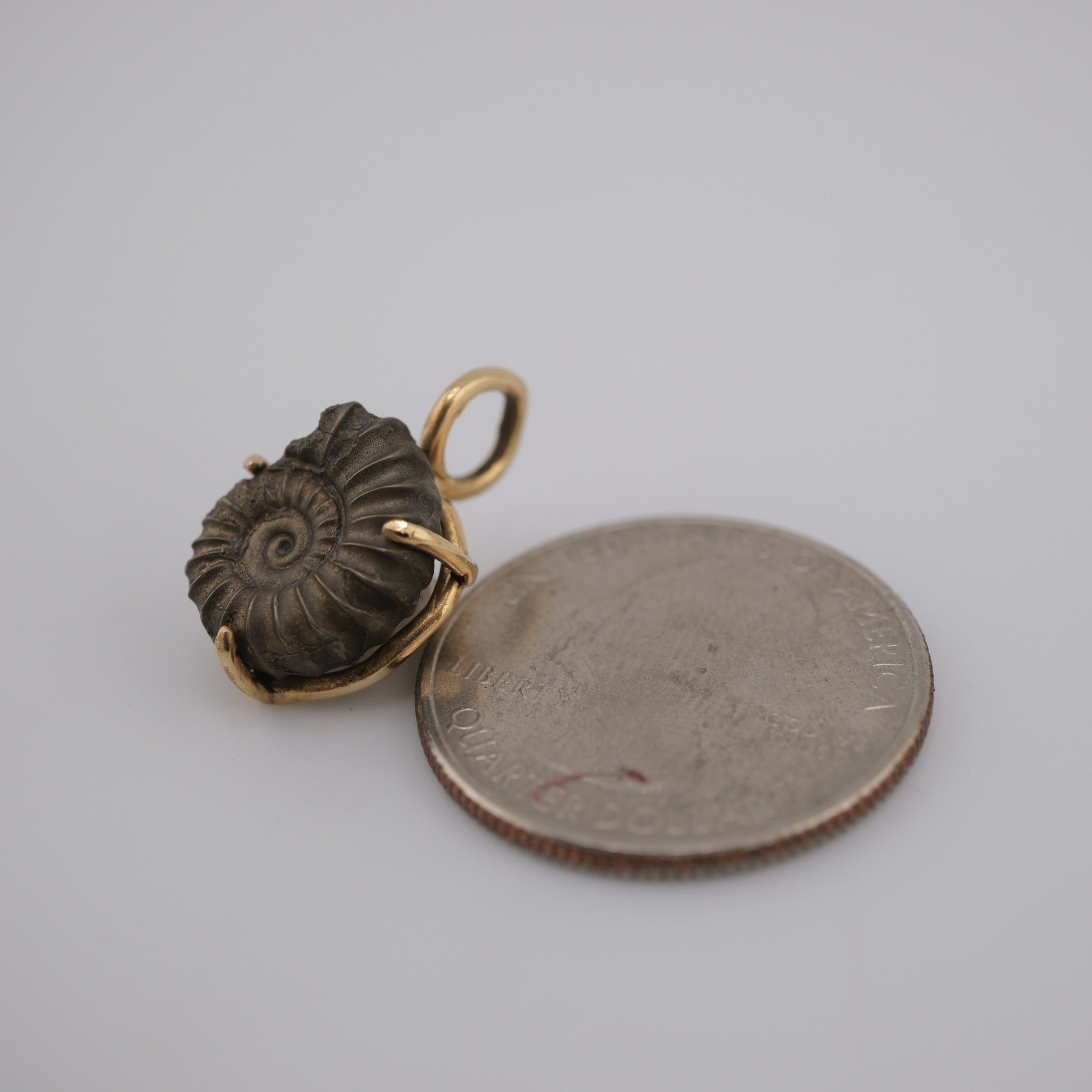 Jurassic Ammonite – 195 Million-Year-Old Fossil Pendant in 18k Gold (#1)