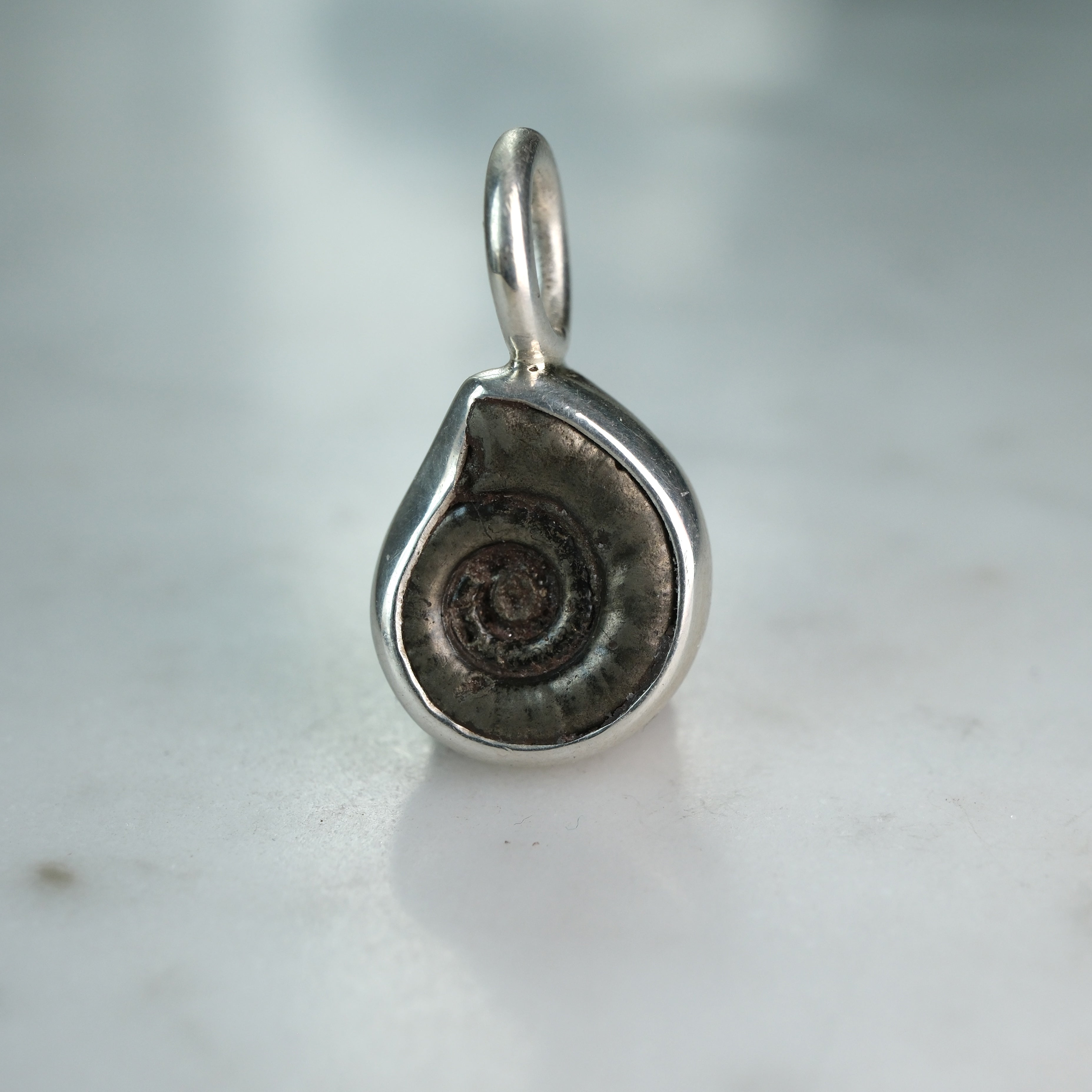 Early Jurassic Ammonite Sterling Silver