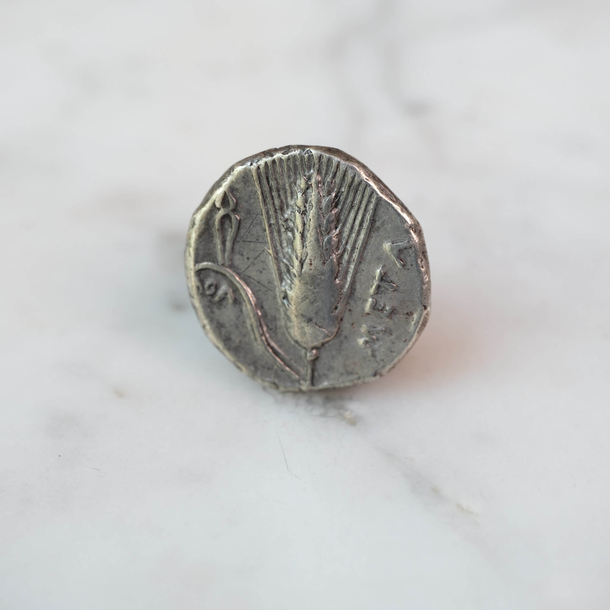 Custom Order – Metapontum Silver Didrachm