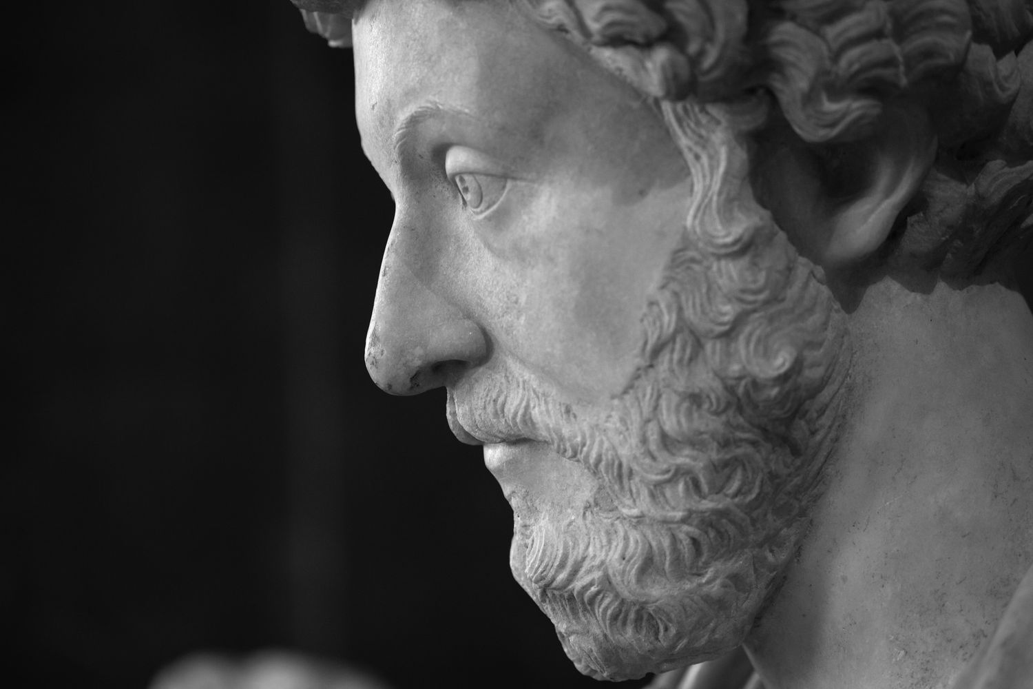 Marcus Aurelius Collection