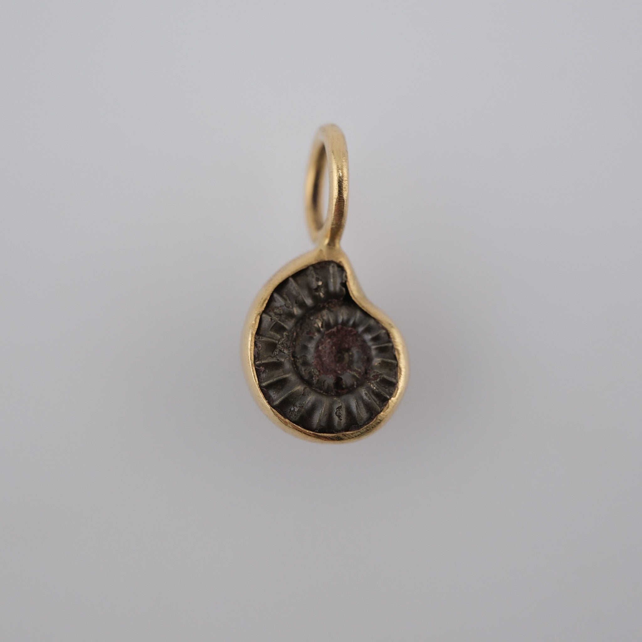 Jurassic Ammonite – 195 Million-Year-Old Fossil Pendant in 18k Gold (#2)
