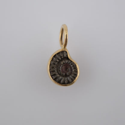 Jurassic Ammonite – 195 Million-Year-Old Fossil Pendant in 18k Gold (#2)