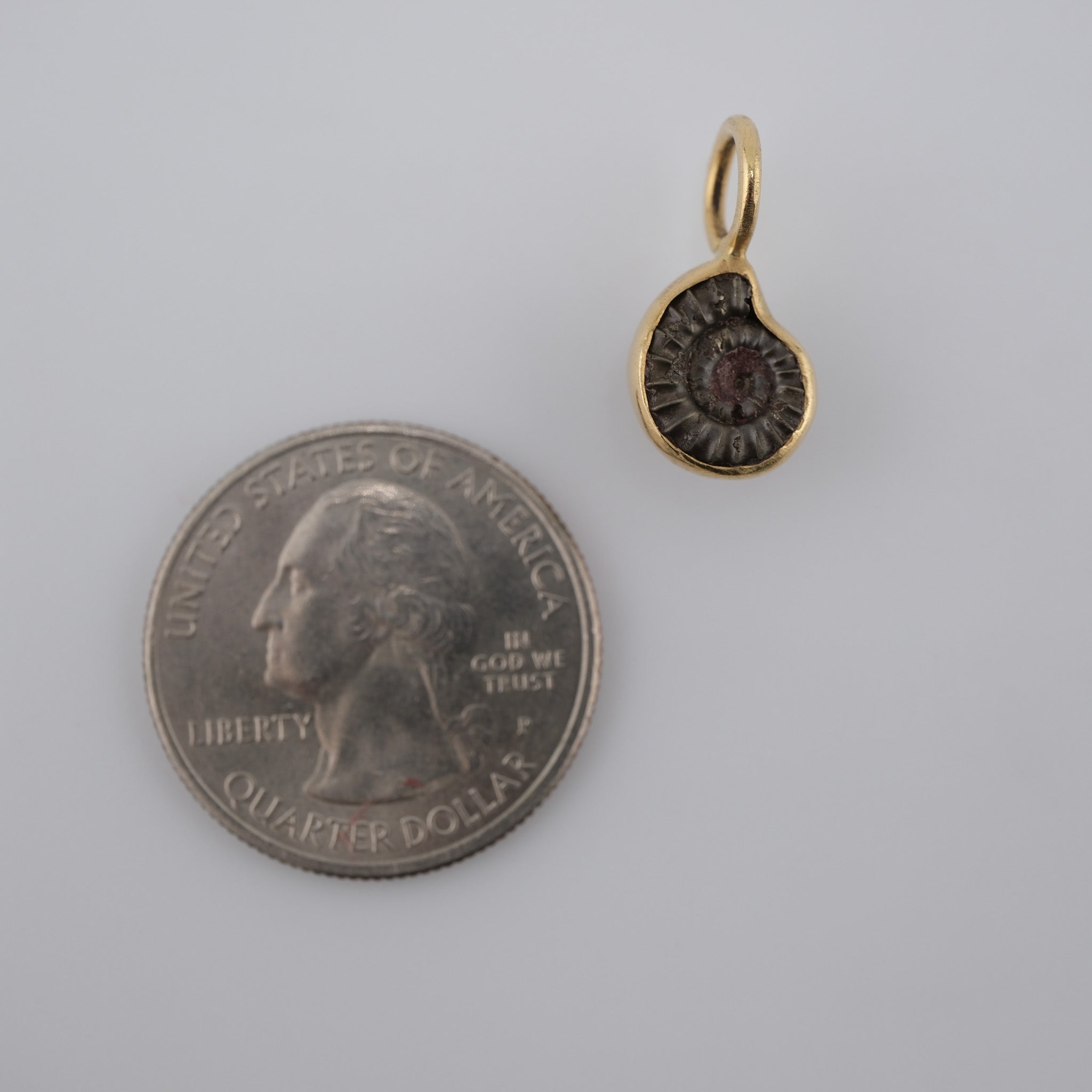 Jurassic Ammonite – 195 Million-Year-Old Fossil Pendant in 18k Gold (#2)