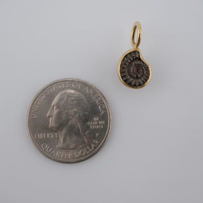 Jurassic Ammonite – 195 Million-Year-Old Fossil Pendant in 18k Gold (#2)