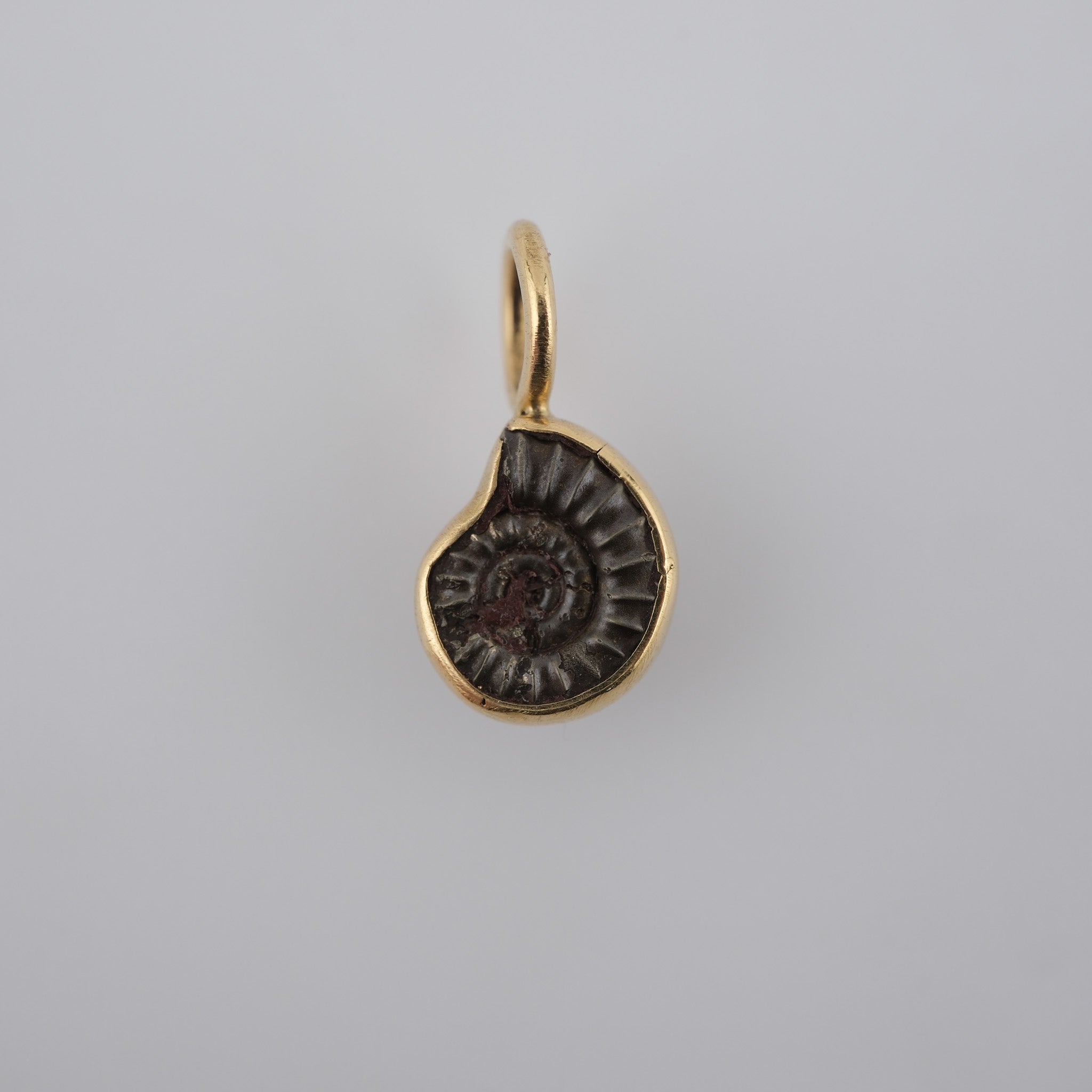 Jurassic Ammonite – 195 Million-Year-Old Fossil Pendant in 18k Gold (#2)