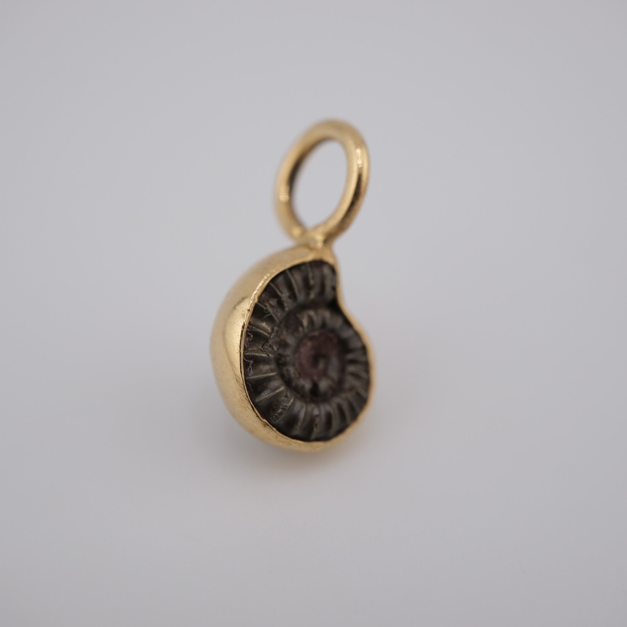 Jurassic Ammonite – 195 Million-Year-Old Fossil Pendant in 18k Gold (#2)