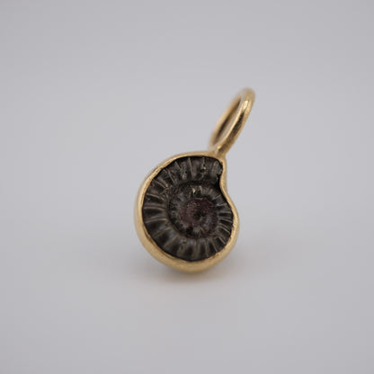 Jurassic Ammonite – 195 Million-Year-Old Fossil Pendant in 18k Gold (#2)