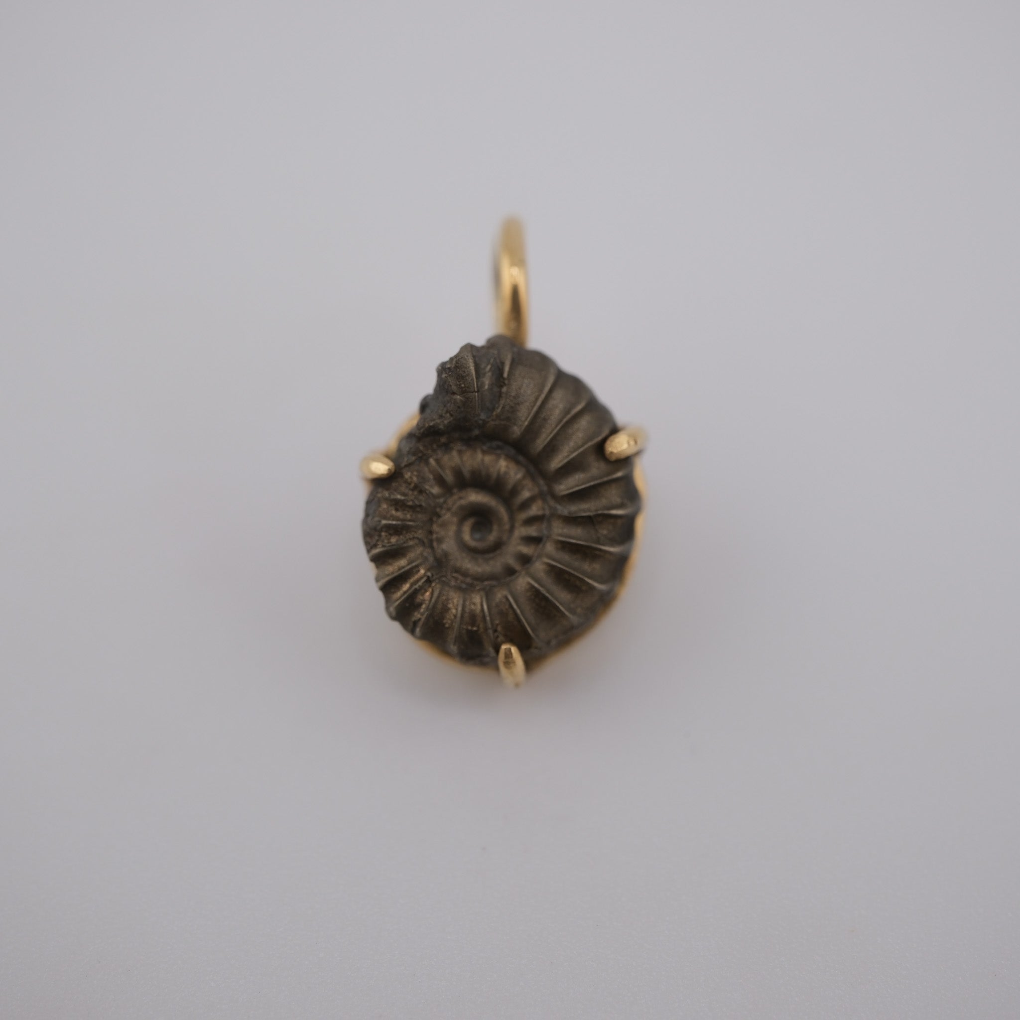 Jurassic Ammonite – 195 Million-Year-Old Fossil Pendant in 18k Gold (#1)
