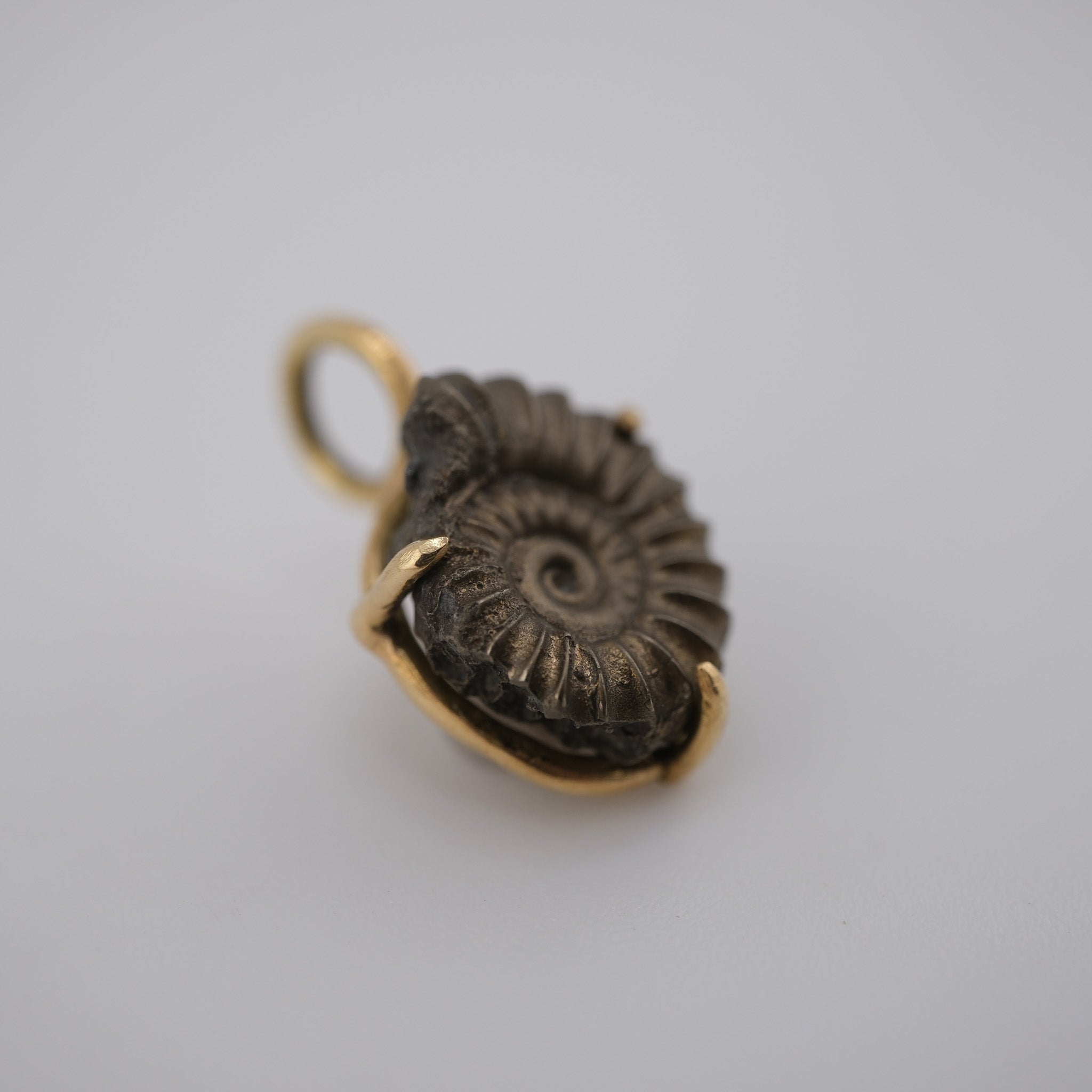 Jurassic Ammonite – 195 Million-Year-Old Fossil Pendant in 18k Gold (#1)