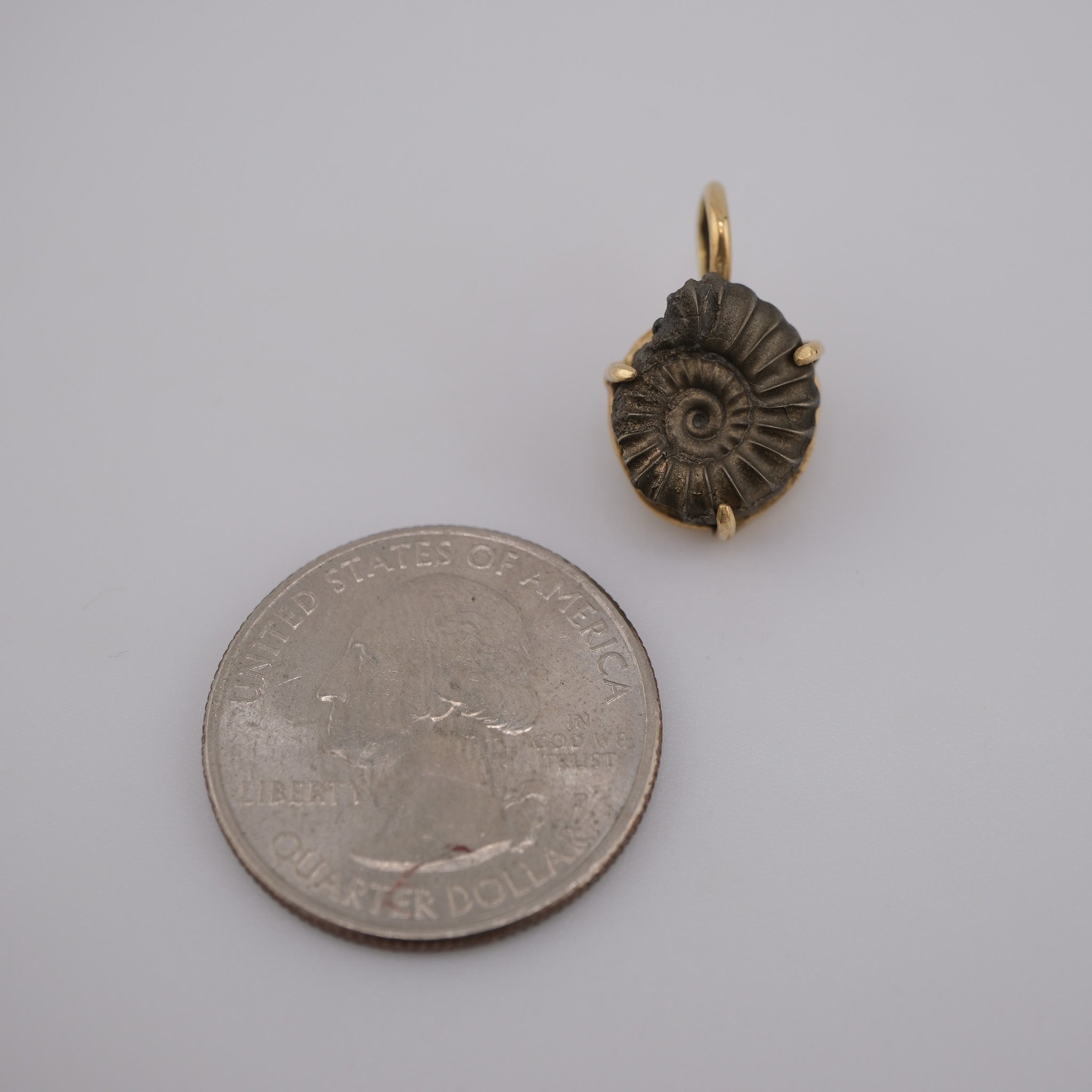 Jurassic Ammonite – 195 Million-Year-Old Fossil Pendant in 18k Gold (#1)