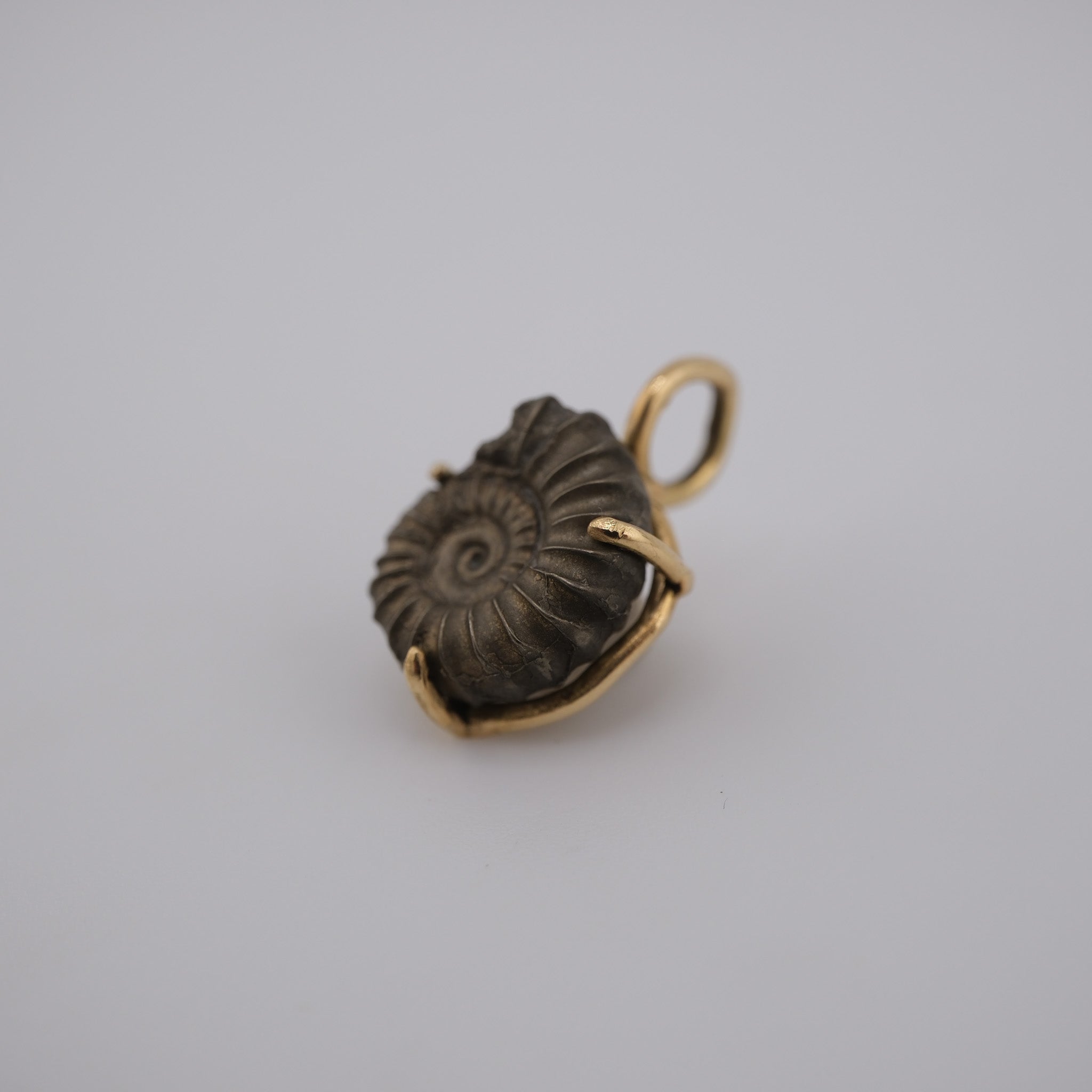 Jurassic Ammonite – 195 Million-Year-Old Fossil Pendant in 18k Gold (#1)