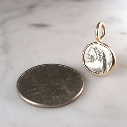 Lion and Pattern in Gold