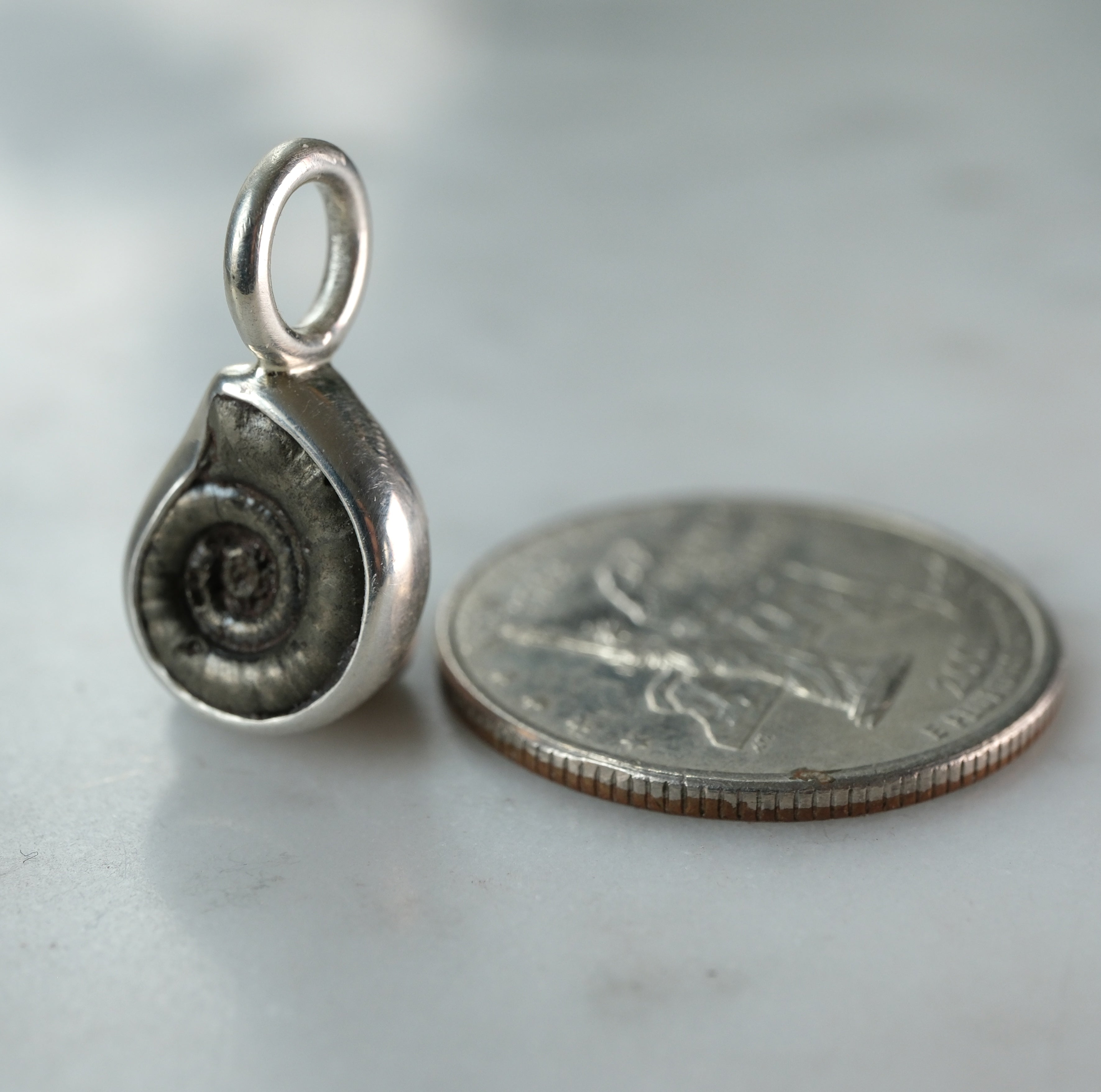 Early Jurassic Ammonite Sterling Silver