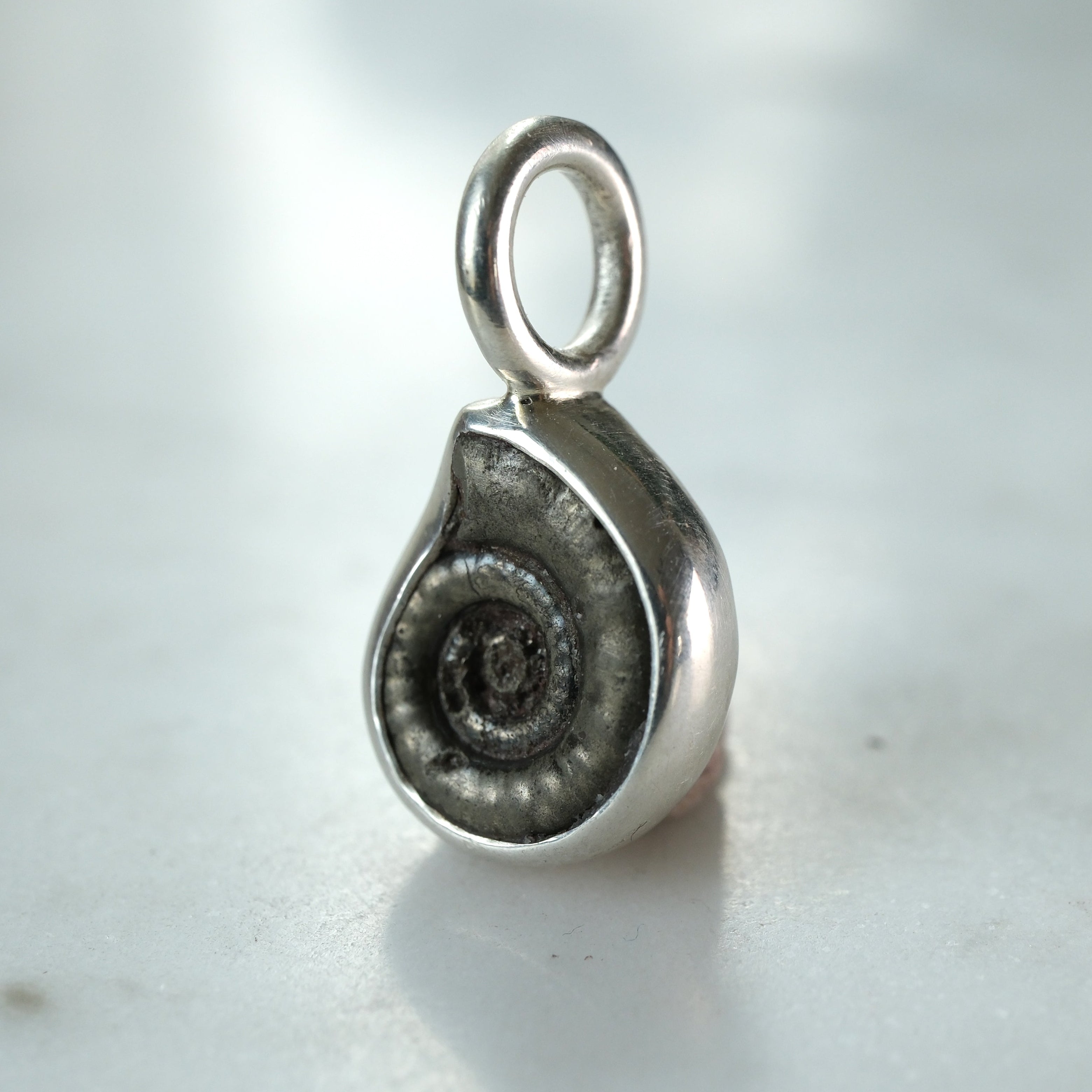 Early Jurassic Ammonite Sterling Silver