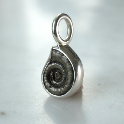 Early Jurassic Ammonite Sterling Silver