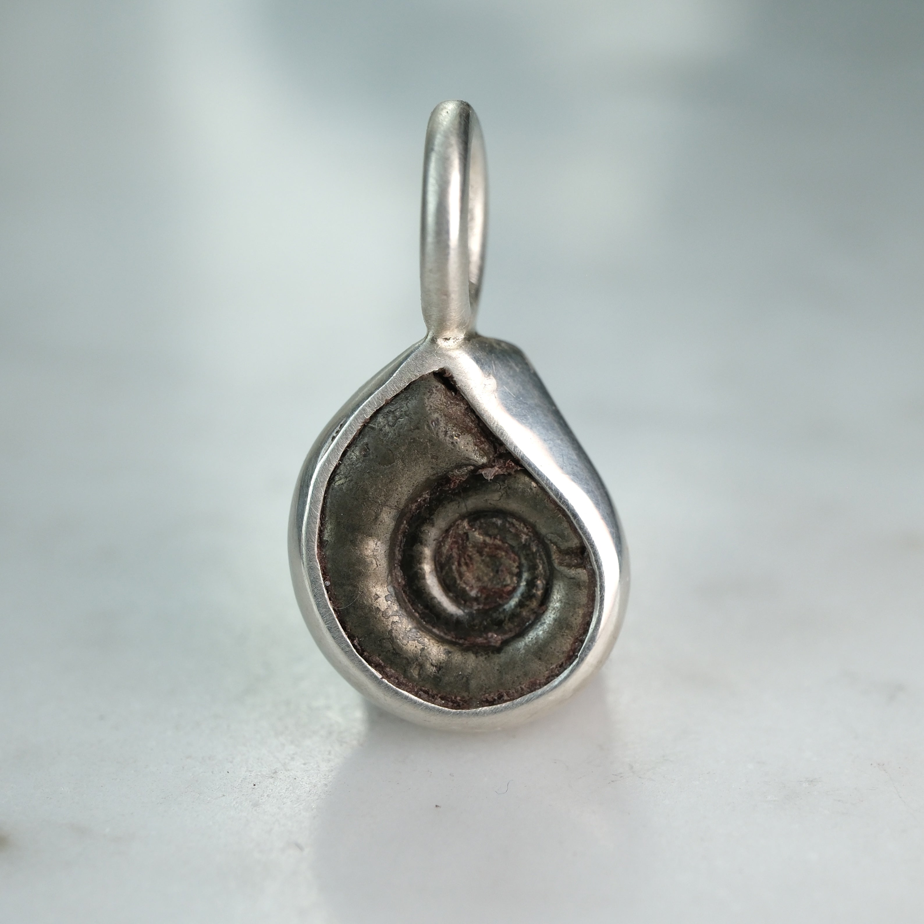 Early Jurassic Ammonite Sterling Silver