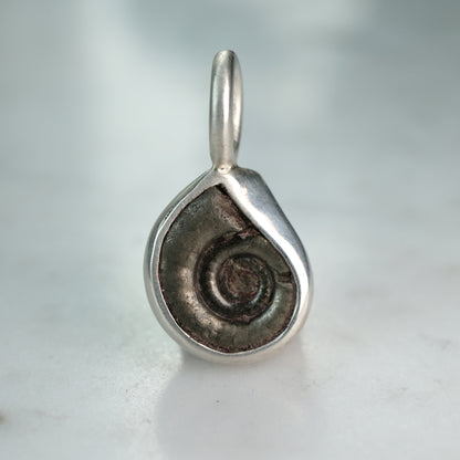 Early Jurassic Ammonite Sterling Silver