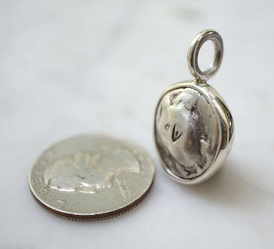 Aegina Sea Turtle Stater Pendant in Sterling Silver
