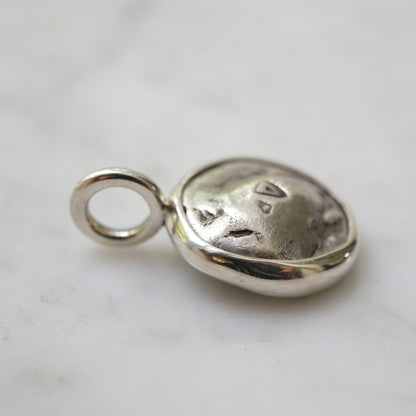 Aegina Sea Turtle Stater Pendant in Sterling Silver