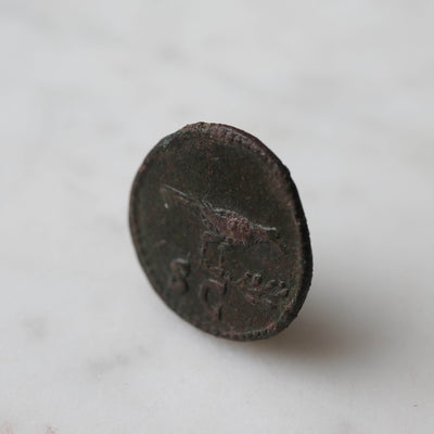 Domitian Quadrans Crow/Raven