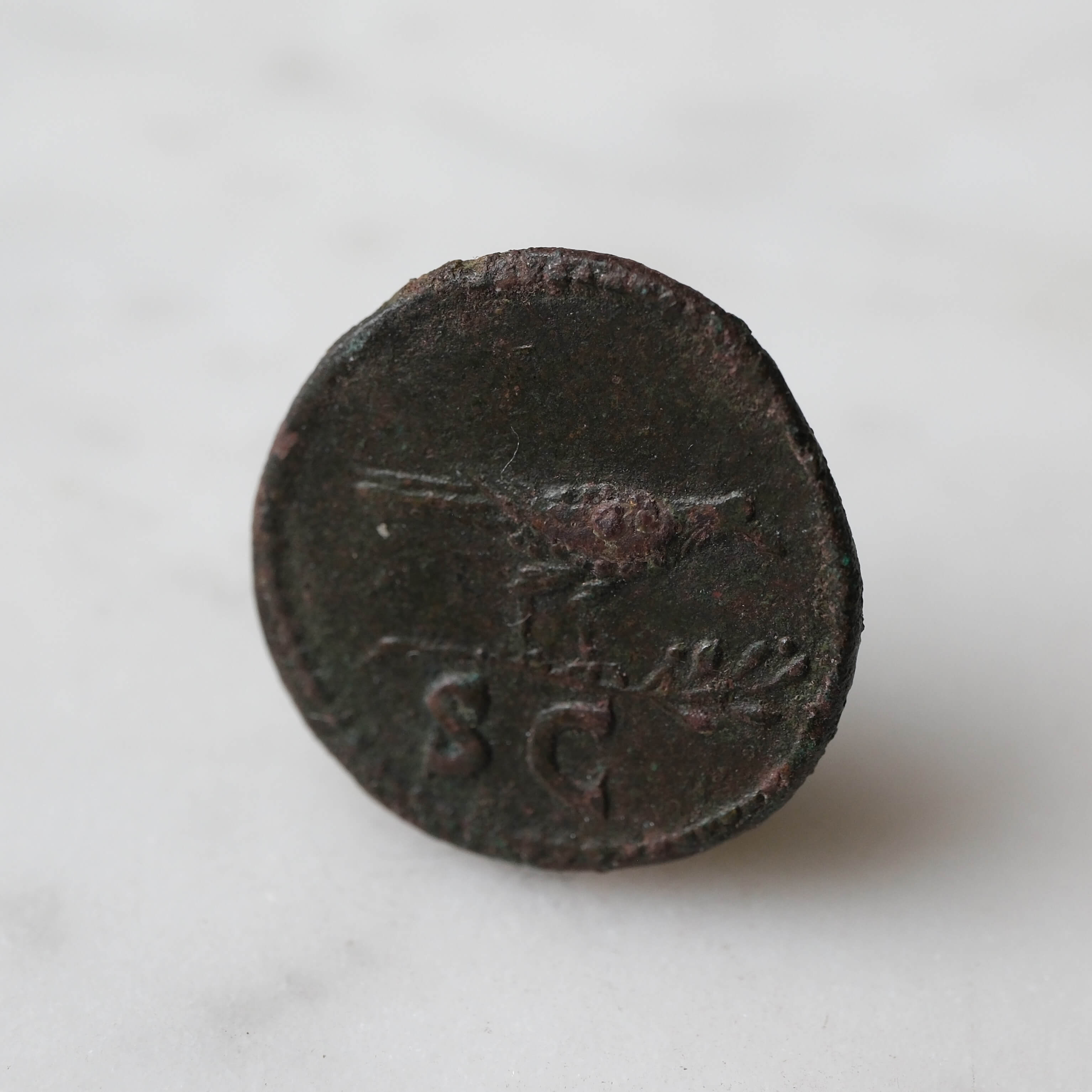 Domitian Quadrans Crow/Raven
