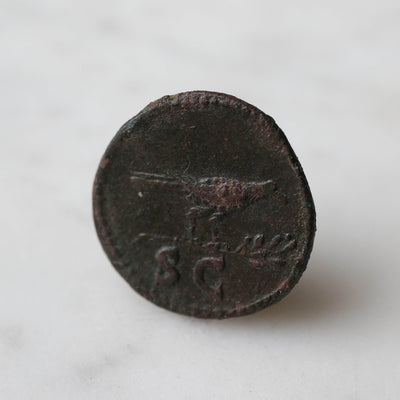 Domitian Quadrans Crow/Raven
