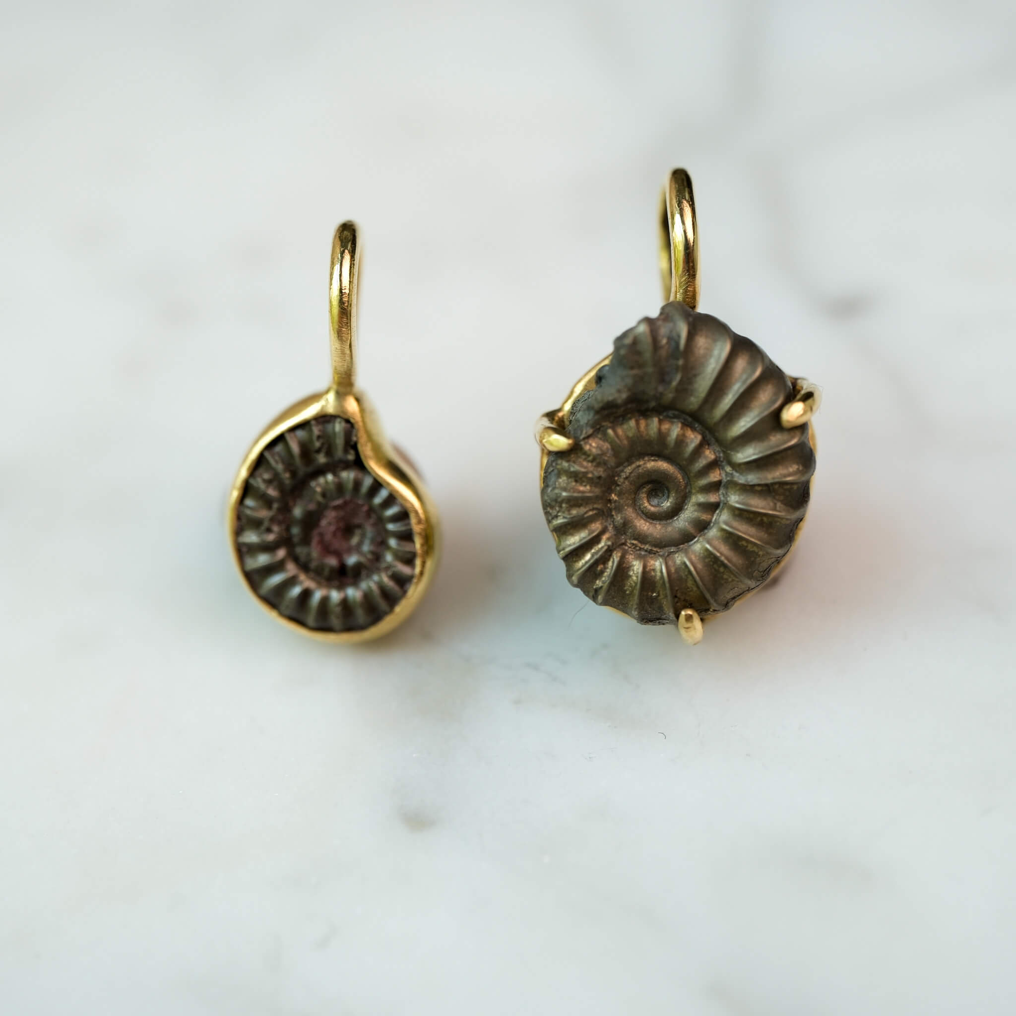 Custom Order — 195 Million Years in the Making #2 | Promicroceras Ammonite Pendant (Approx. 3 weeks)