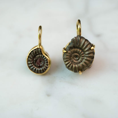 Custom Order — 195 Million Years in the Making #2 | Promicroceras Ammonite Pendant (Approx. 3 weeks)