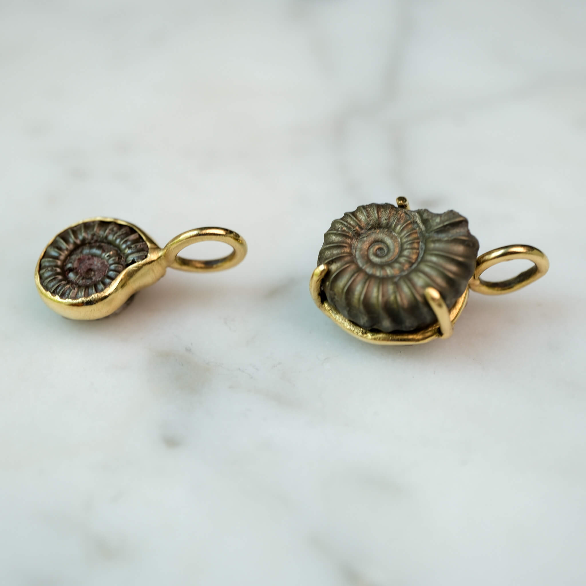 Custom Order — 195 Million Years in the Making #2 | Promicroceras Ammonite Pendant (Approx. 3 weeks)