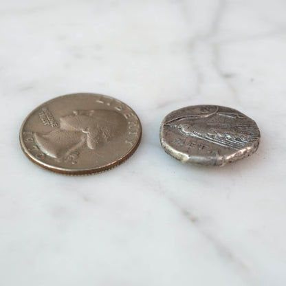 Custom Order – Metapontum Silver Didrachm