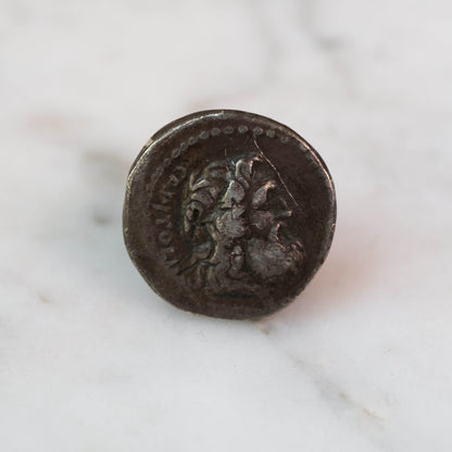 Custom Order – Silver Denarius of Petillius Capitolinus | Temple of Jupiter Capitolinus(Approx. 3 weeks)