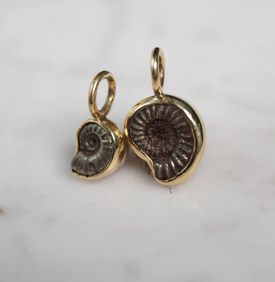 Early Jurassic Ammonite #1