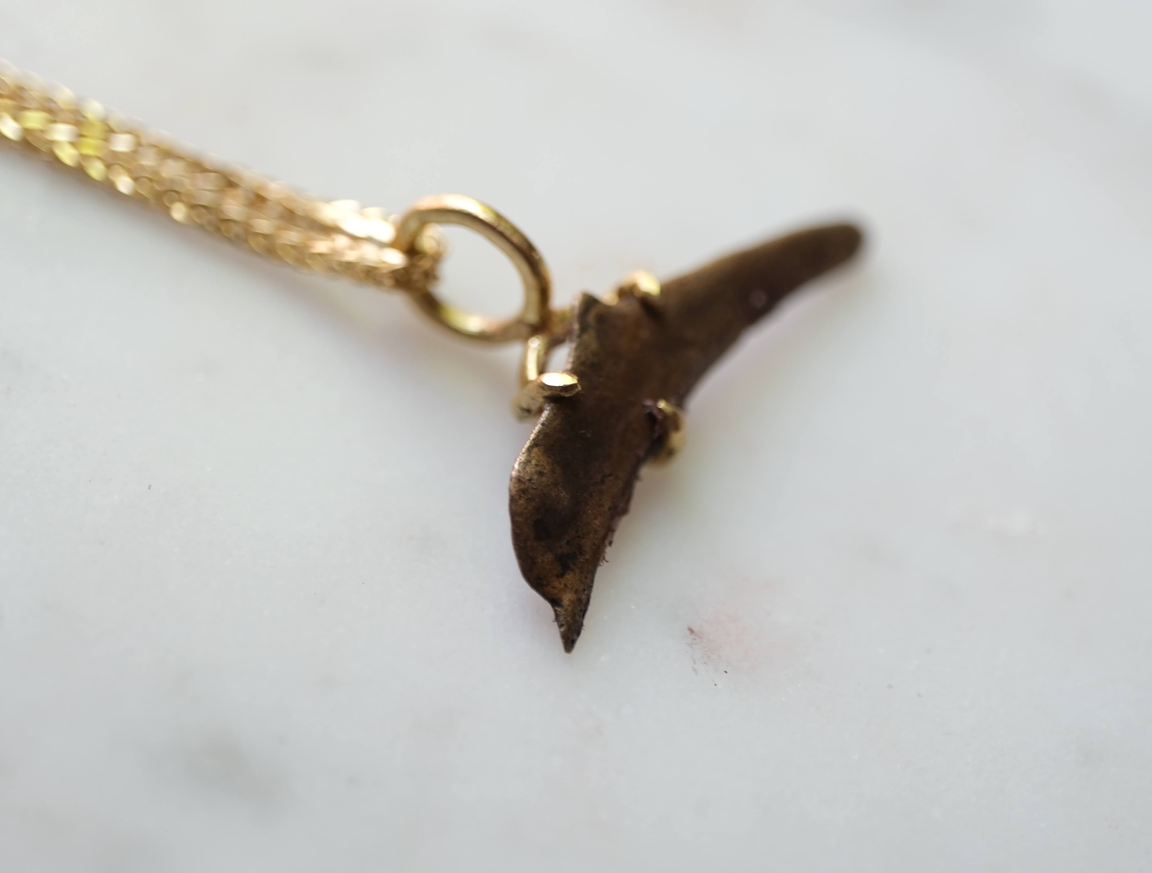 Dolphin Money Set in Gold