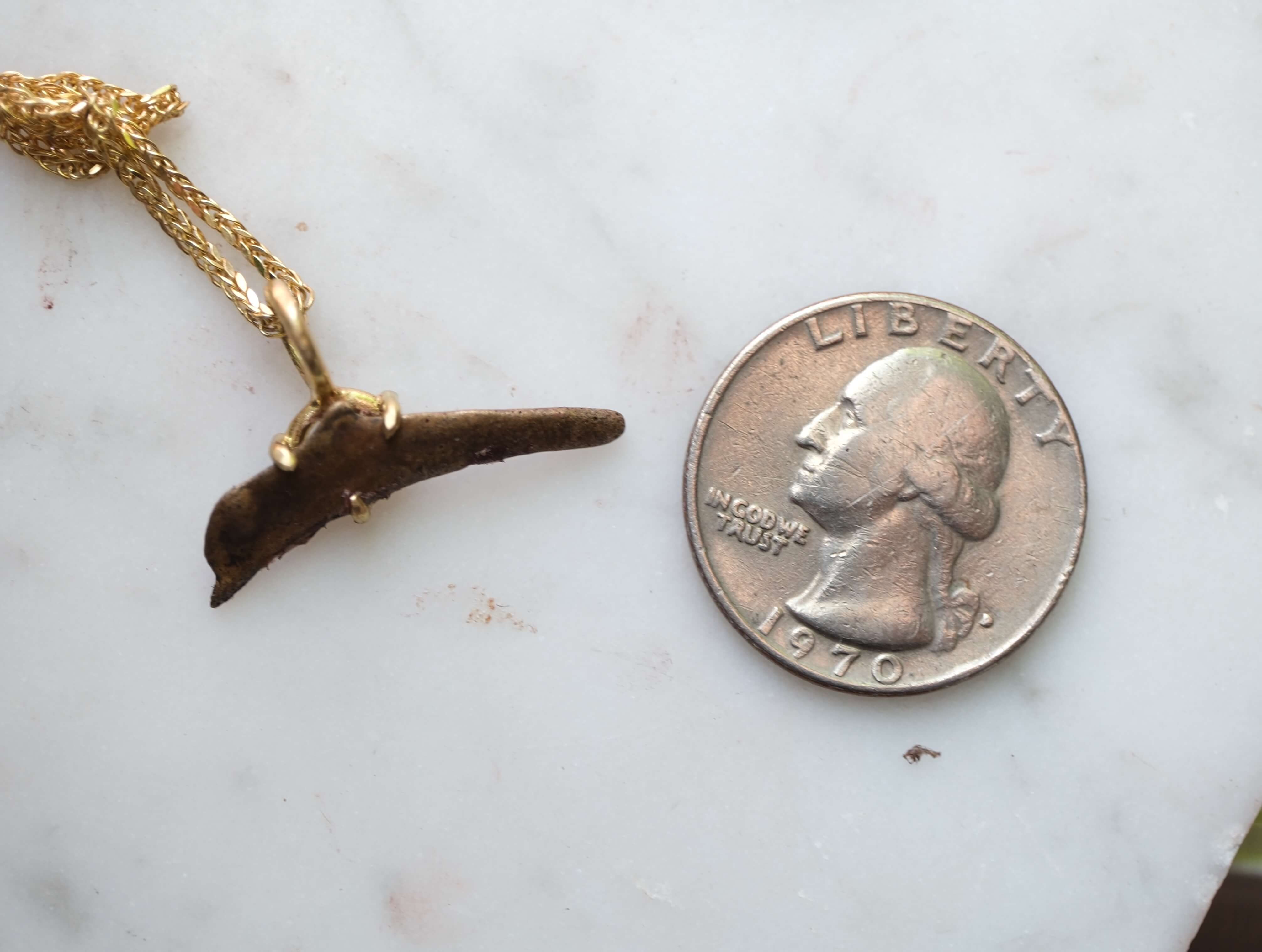 Dolphin Money Set in Gold