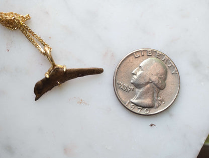 Dolphin Money Set in Gold