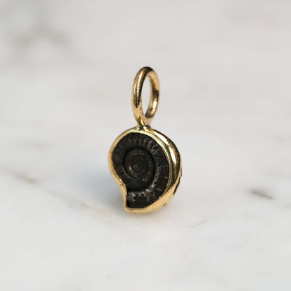 Early Jurassic Ammonite 1