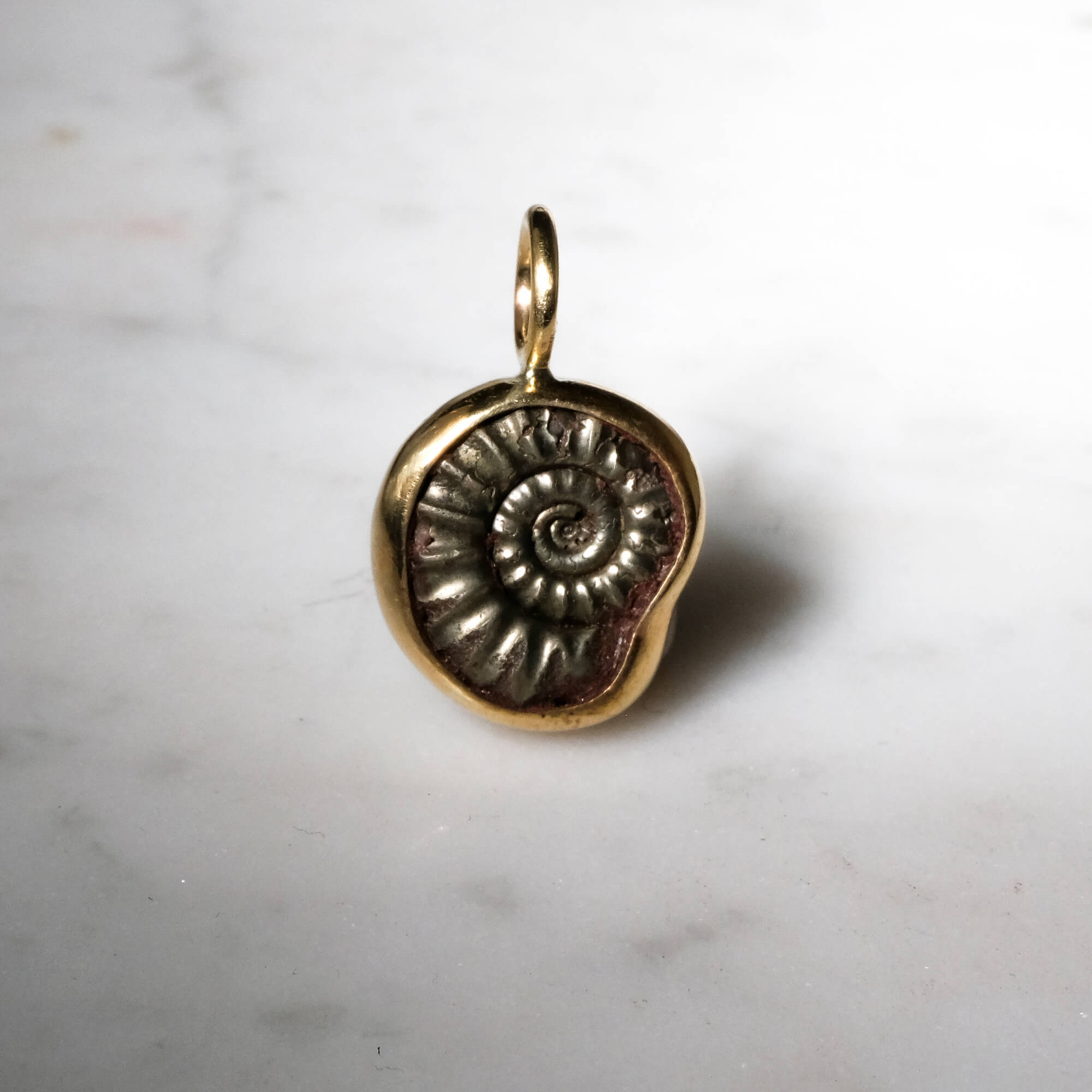 Early Jurassic Ammonite in Brass