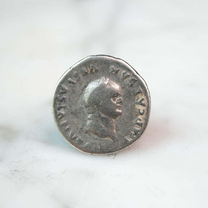 Vespasian Silver Denarius #2